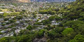 Rarely Available Private Estate in Manoa! Move in Ready! Gallery 29