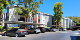 Gateway Apartments Gallery 41
