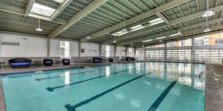 Madison Bellevue Gallery 22