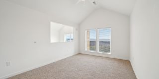 Colina Hillside Gallery 91