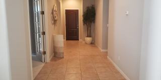 fclgo19 fclgo19 Gallery 19