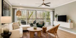 Avana Cumberland Gallery 1