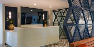 Belle on Bev Belle on Bev Gallery 27