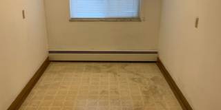 Nandale - Yellow Gallery 10