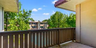 Modern 2-Bedroom Condo with Pool and Koi Pond Views Gallery 23