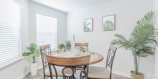 7019 CAPELLA CV Gallery 5