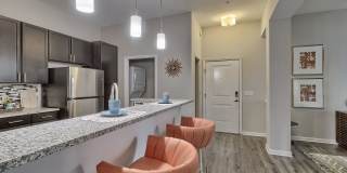 Nexus at Sandhill Apartment Homes Gallery 30