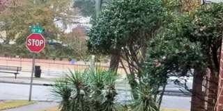 Lakebottom Park 2Bedroom Gallery 17