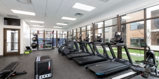 The Avante Gallery 11