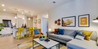 Palo Verde Gallery 24