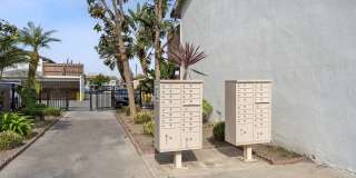 Newland Garden Gallery 14