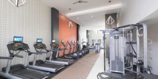 Eleven55 Ripley Gallery 5