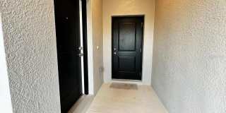 339 PUMA LOOP Gallery 2