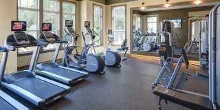 Avery at Turkey Creek Gallery 24