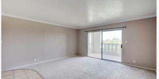 $500 Move in Special! Scottsdale Shadows 2Bed 2Bath Condo includes W/T/S utilities! Gallery 11