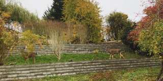 6904 54th Pl Ne Gallery 24