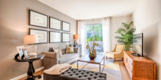 Halstead Square - Lotus & Lofts Gallery 2