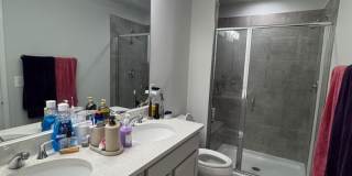 4959 Lexi Ln - 1 Gallery 55
