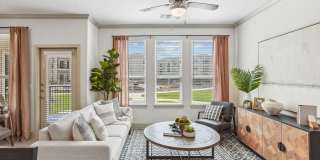 Paloma Luxury Apartments Gallery 6