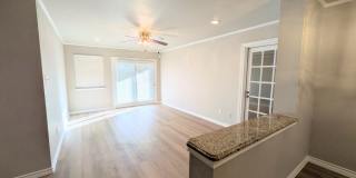 Leon Valley Gem!! Gallery 31