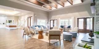 The Palmera Gallery 25