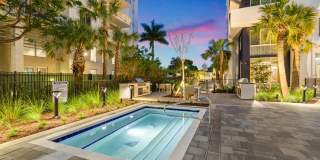 Tortoise One Gallery 40