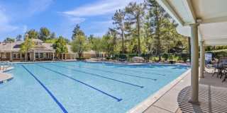 13333 Golden Horn Dr Gallery 10