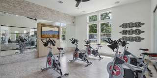 The Mason Gallery 31