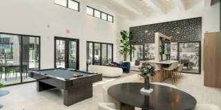 The Moxie Gallery 9