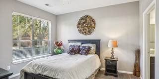 Bridford Lake Gallery 16