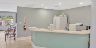 308 LAKE PARSONS Green Gallery 14