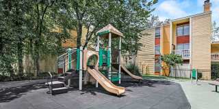 Sawmill Creek Gallery 31