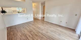 lumiu103 Gallery 1