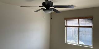 1632 Yellow Tulip Pl Gallery 14