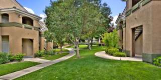 Summer Winds Gallery 26