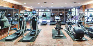 The Meadows - Newly Renovated Gallery 14