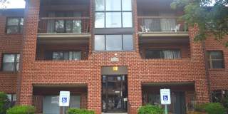 19 JULIET Lane unit: 201 Gallery 1