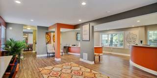 Rodgers Forge Gallery 18