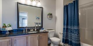 Wellington Place Gallery 5