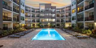 Gallery 3100 Gallery 1