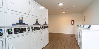 The Theodore Gallery 12
