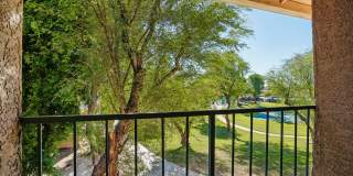 Desert Oasis Gallery 20