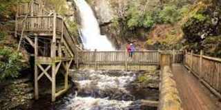 3330 Windemere Drive Gallery 31