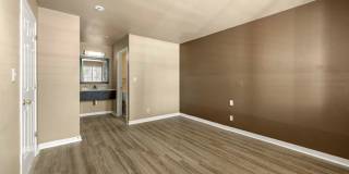 505 Collection 505 Collection Gallery 29