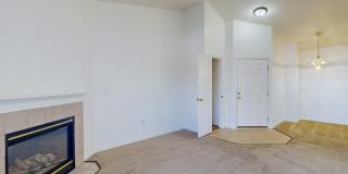 Tiburon Gallery 4