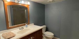 Rare Boulder Gem—Spacious 5-bedroom S. Boulder home - AVAILABLE EARLY JULY! Gallery 18