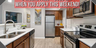 The Outlook Gallery 1