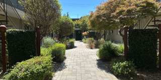 Siesta Villa and Crestwood Apartments ~ Absolute Must See Community! Gallery 32
