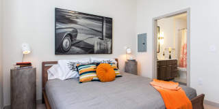 Agave Gallery 26