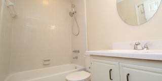 8154 Treetop Ln Gallery 12
